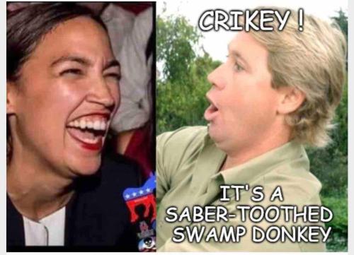 babe5632-4427-4a18-91e7-844b875c72ff