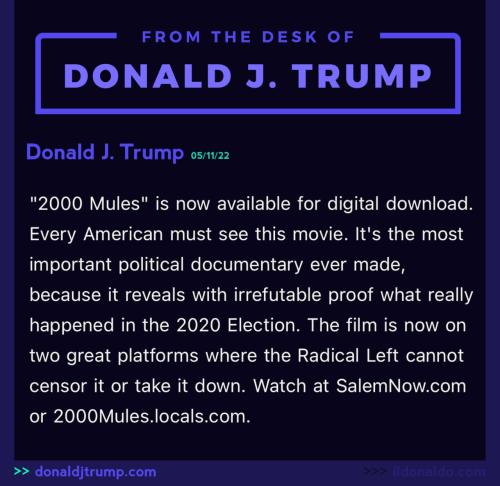 TRUMP 2000 MULES