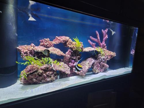 39675ba9-8eeb-4086-8aa6-0efa6f9efa8f