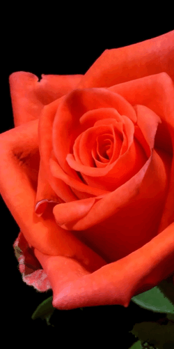 07:46:29 GMT-0500 (CDT)