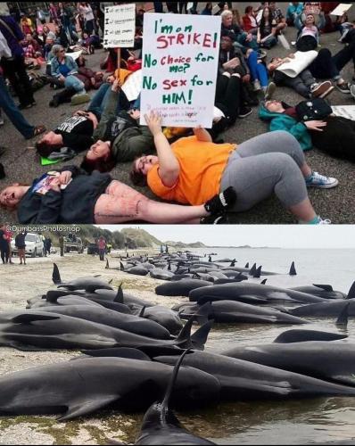 116d8d63-13a9-4861-8e68-bcca9d4f56c1