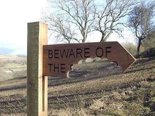 beware of the