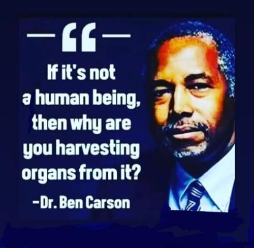 279849777_10224998613265990_8991264240926719383_n