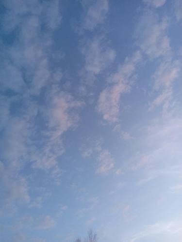 615e8db1-7b83-4d1e-a9d3-ae5dbea569bd