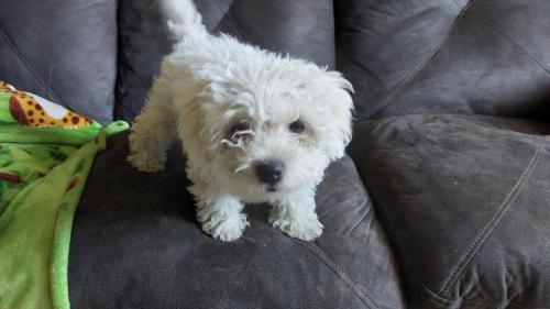 May 20, 2022