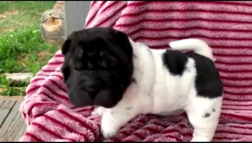 afe94ce3-88d5-4754-9b9f-bbd11d14efce