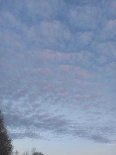 7805f149-ce43-470a-ba0f-2e8eec3efefc