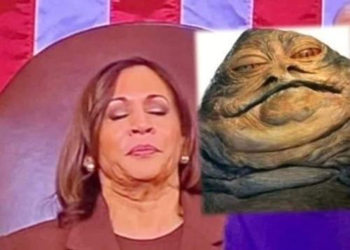 6214119b-5ded-424e-89f6-27d8d4df5586