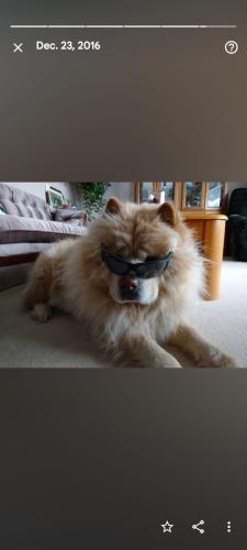 01ae6678-0e40-43b5-9b2a-047c6e4ee5f1