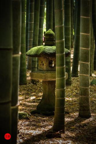 279245367_7396323270439328_8986949020565472926_n