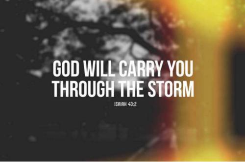 e044ed65-7dbc-49b3-a755-ce22f494b496