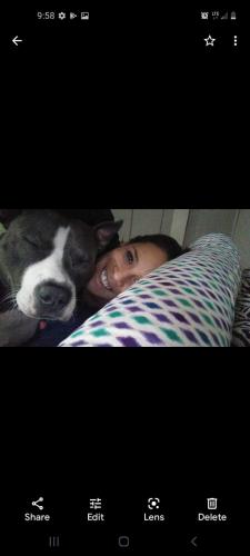 d40fdb9f-64d6-4e81-a8f5-18fd952c8b44