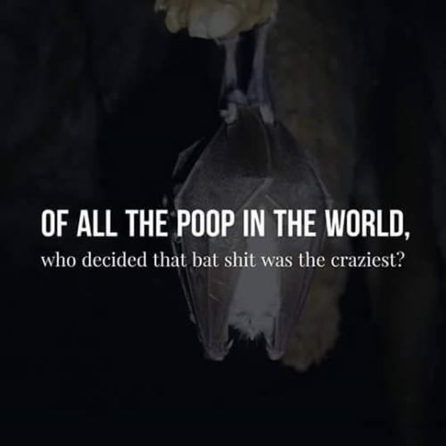 86673fb2-d95e-4abd-9025-3c44e60d4fe1