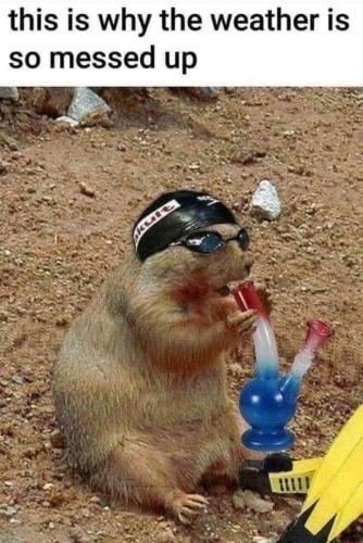 f3f216e2-be0d-442f-a6fd-f23a146c3545