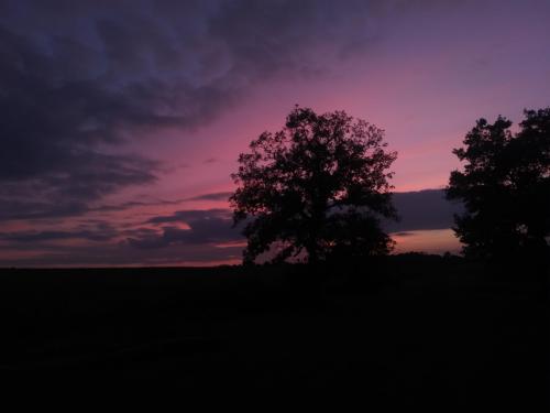 c1aa00e5-b24d-43e8-8696-2128d842f898