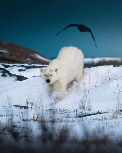 tumblr_c3229365ae580d1618043aee02c19d5f_e13fc3eb_540