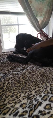 082b23f9-1610-4e61-a4ad-7741e8e00e15