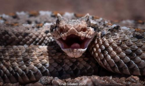 284800110_1401804060232934_6078317444174832235_n