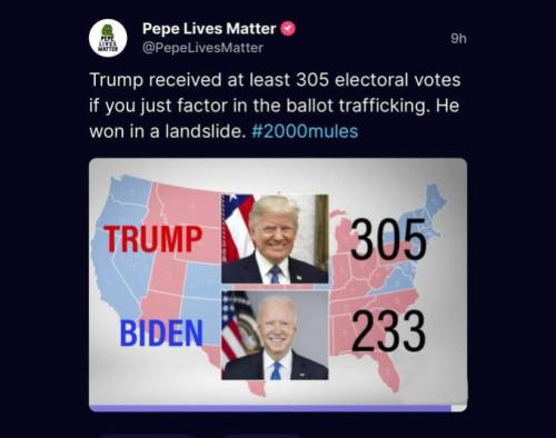 2000 mules01
