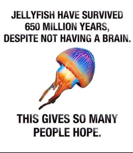 FB_IMG_1653140132682