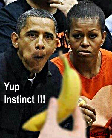 Obama instinct