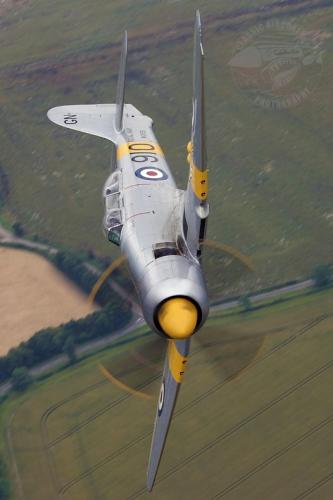 282131821_557726785712357_3554393335597865589_n