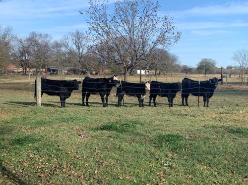 60E872B9-58F0-4326-9526-3AD296F54C2E