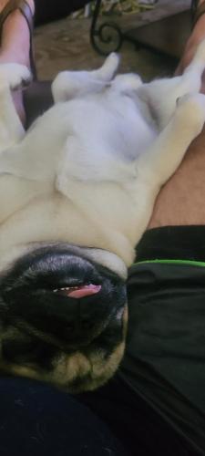 f4480775-89da-4423-be44-b23cd5cdc140