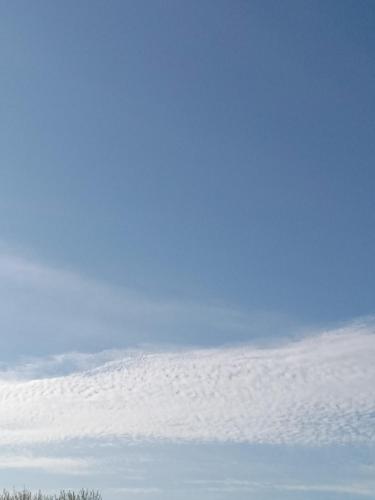 a8494e81-de57-4427-a44a-1370cd74849e