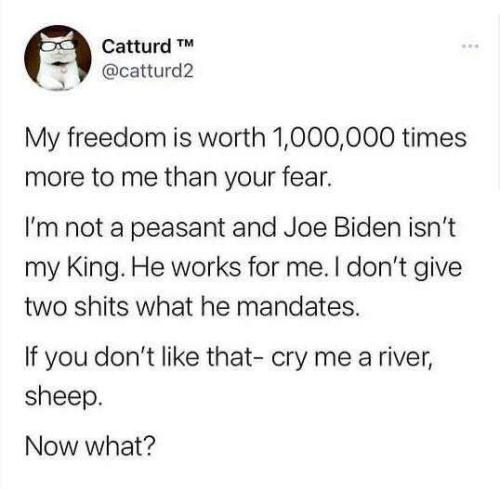 EB47DB0A-32A2-49DB-B4D9-9F0047558119