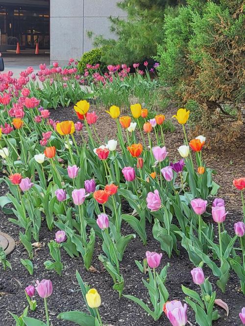 34730b9b-ade7-4f35-9cc1-345e5ffdf0ec