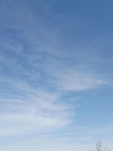 04203f26-8045-46fe-aea4-1f6fe3be2ead