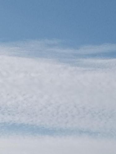 56c3bdfd-f563-4386-b3f1-76d08b683330