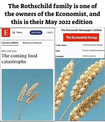 Rothschild Economist Food Shortage