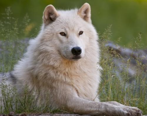 tumblr_n1eug8QJie1rhe8jbo1_540