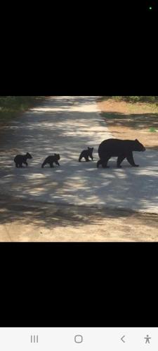 Screenshot_20220521-194949_Facebook