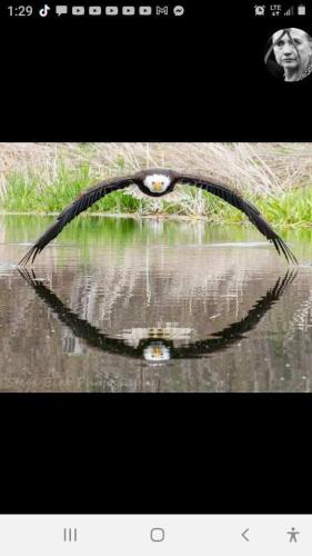 ba9f5071-9b98-4ae5-8e97-7ac47c0238e9