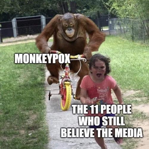 FB_IMG_1653234989535