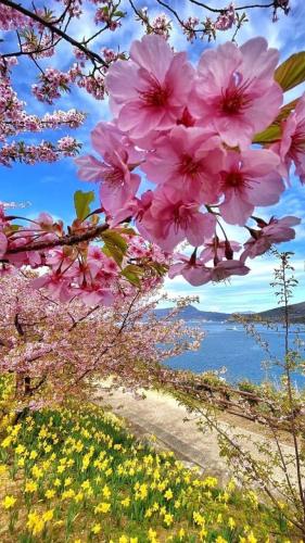 08:29:16 GMT-0500 (CDT)