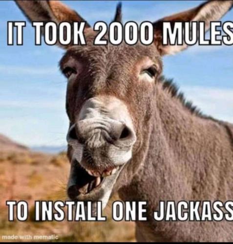 5205dc55-1dda-4529-a373-784f7541cf1a