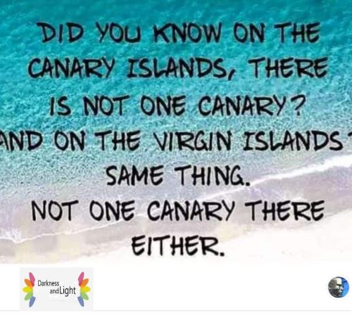FB_IMG_1653401655326