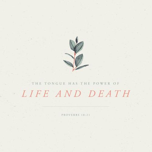 6d19393c-d522-483e-be30-8fc0987657c7