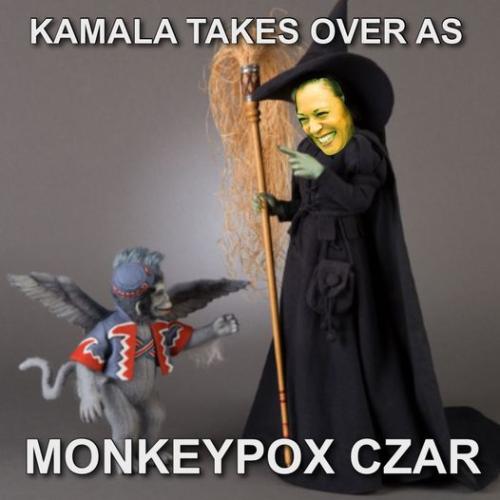 137d66f1aecc719782921949a71621b4_500