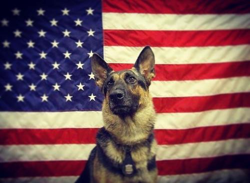 257883995_4859022694109197_1526149241129261129_n