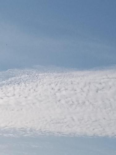 f030c55e-f3b7-48ac-ad32-2fcecf1786f1