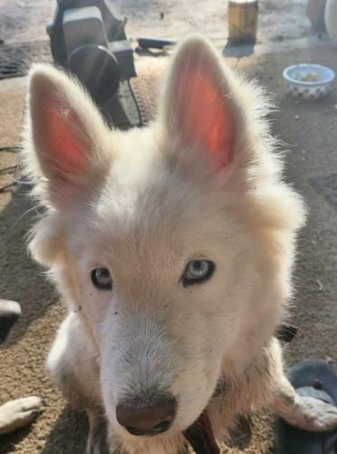 9cb124d1-d01a-4049-905e-bb76dac0d10b