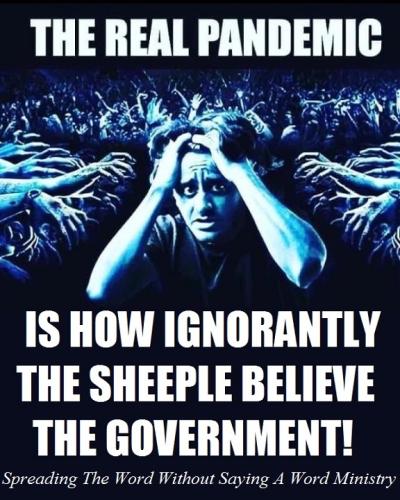 843fcdc56f28a7604ff781391edcc891_1024