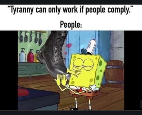 00229712-3912-4544-908c-e9e7cb7a4764