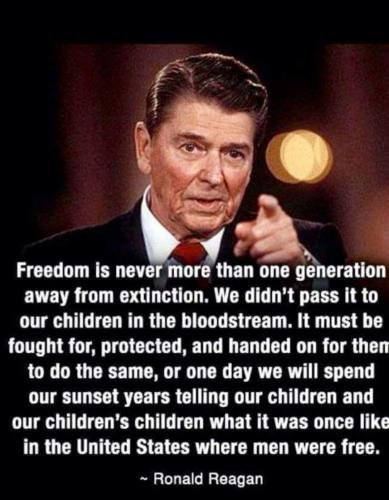 Freedom 1