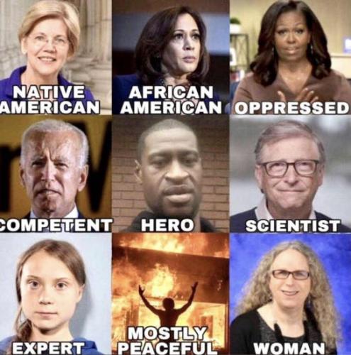 democrats511